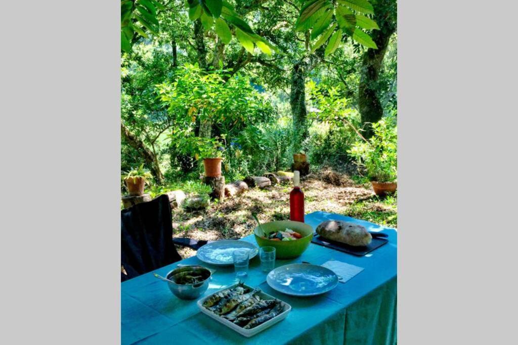 Quinta Biologica, Com Vista, Na Serra De シントラ エクステリア 写真