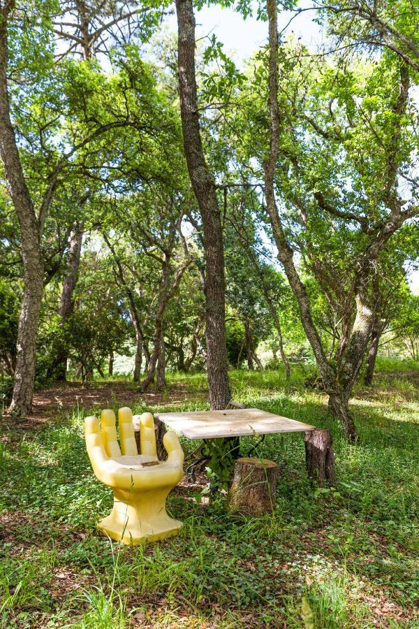 Quinta Biologica, Com Vista, Na Serra De シントラ エクステリア 写真