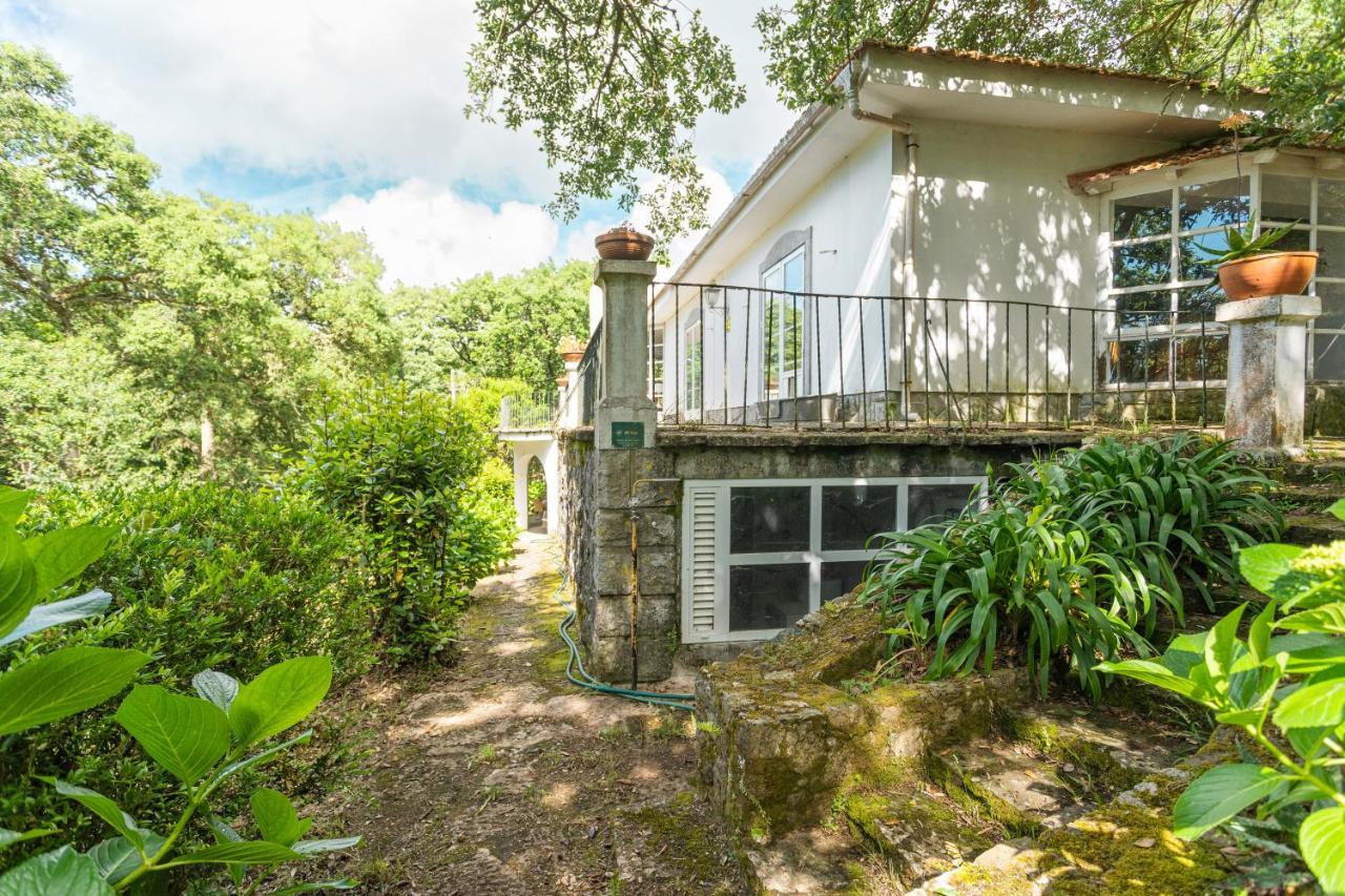 Quinta Biologica, Com Vista, Na Serra De シントラ エクステリア 写真