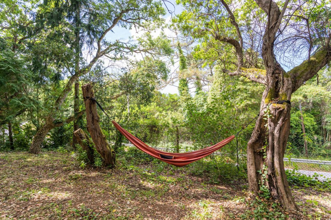 Quinta Biologica, Com Vista, Na Serra De シントラ エクステリア 写真