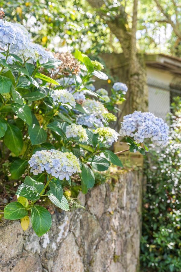 Quinta Biologica, Com Vista, Na Serra De シントラ エクステリア 写真